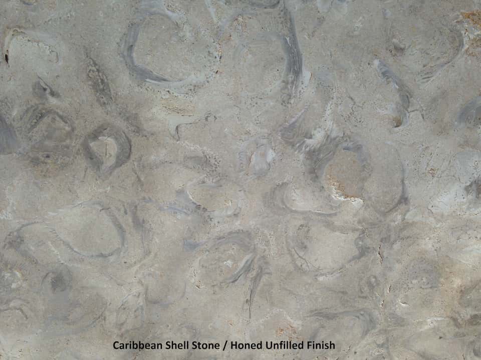 Caribbean Shell Stone, Honed Unfilled Finish