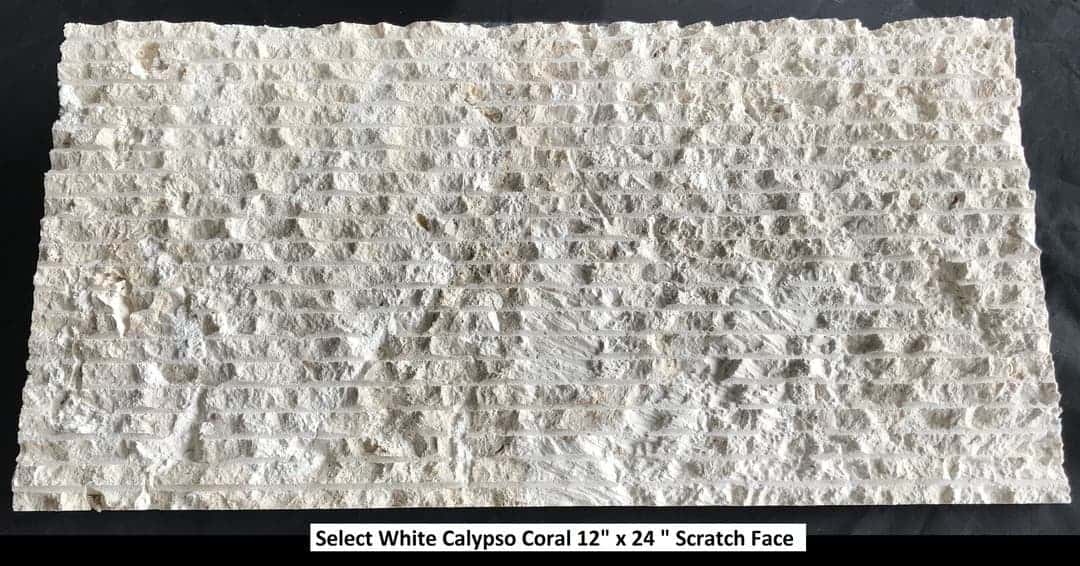 Select White Calypso Coral 12x24 Scratch Face 1
